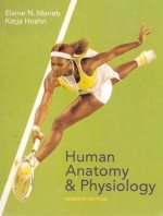 Human anatomy & physiology