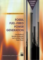  Fossil fuel-fired power generation