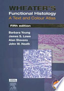 Wheater's Functional Histology: a text and colour atlas