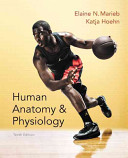 Human Anatomy & Physiology