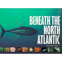 Beneath the North Atlantic