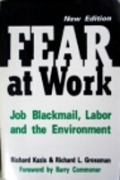  Fear at work