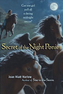 Secret of the Night Ponies