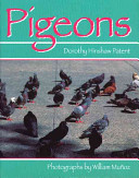 Pigeons