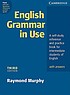  English grammar in use