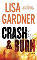 Crash & burn: a novel