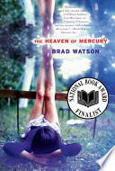 The Heaven of Mercury: A Novel