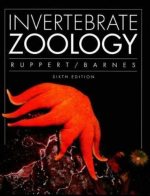 Invertebrate zoology