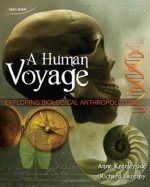 A human voyage