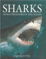 Sharks : savage predators of the oceans