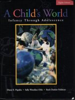  A child's world : infancy through adolescence