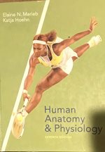 Human anatomy & physiology