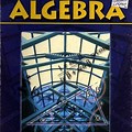 Beginning algebra