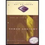 Student study art notebook, Human anatomy