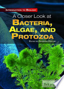 A Closer Look at Bacteria, Algae, and Protozoa