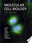 Molecular Cell Biology