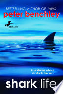 Shark life : true stories about sharks & the sea