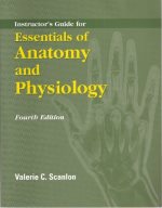 Essentials of anatomy and physiology