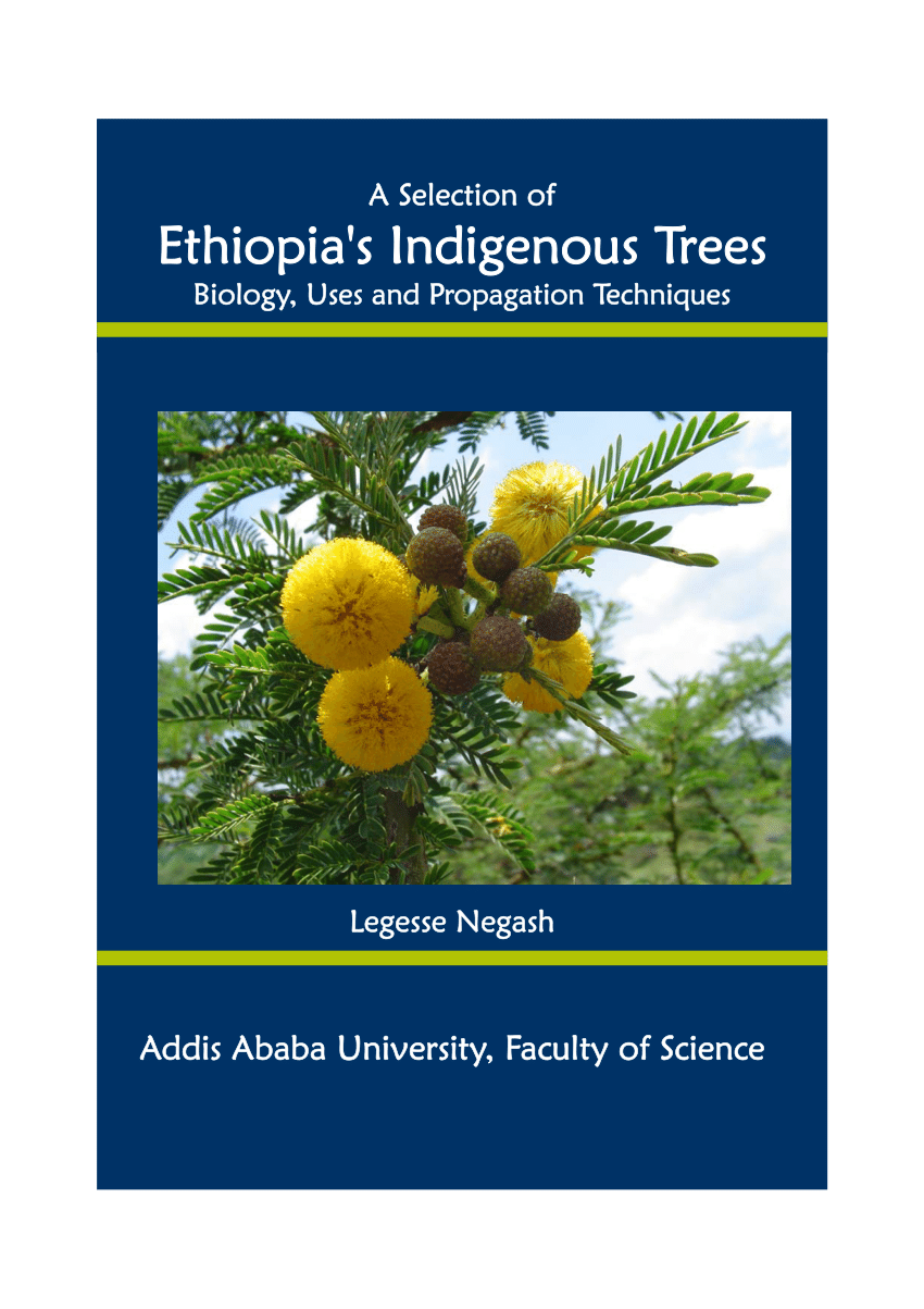 A selection of Ethiopia's indigenous trees : biology, uses, and propagation techniques