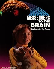  Messengers to the brain : our fantastic five senses